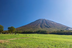 【鳥取県で暮らす】大山町って、どんな町？